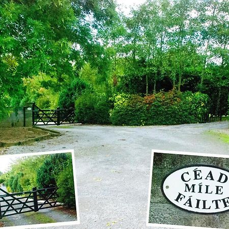 Kingstown House Bed and Breakfast Cashel  Εξωτερικό φωτογραφία