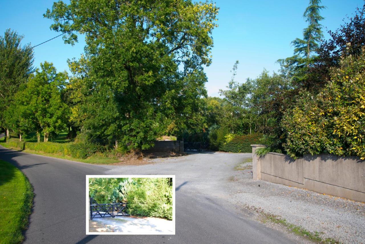 Kingstown House Bed and Breakfast Cashel  Εξωτερικό φωτογραφία