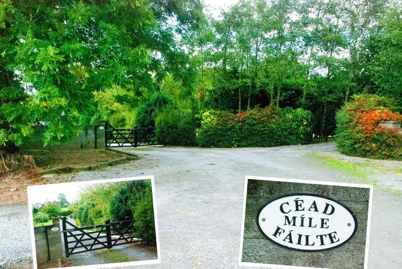 Kingstown House Bed and Breakfast Cashel  Εξωτερικό φωτογραφία